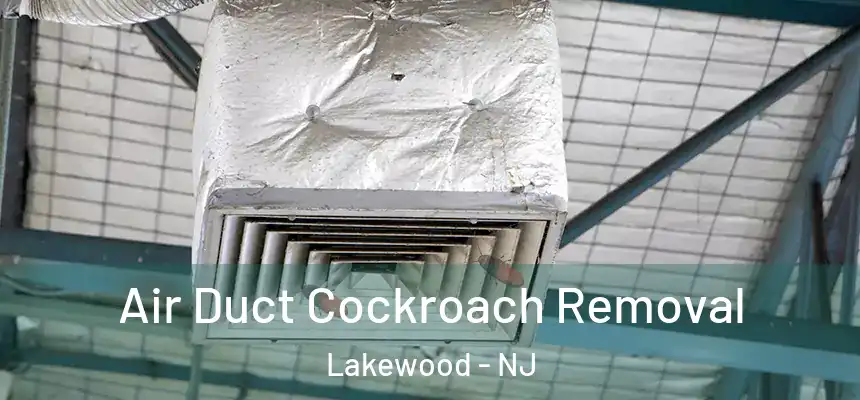  Air Duct Cockroach Removal Lakewood - NJ