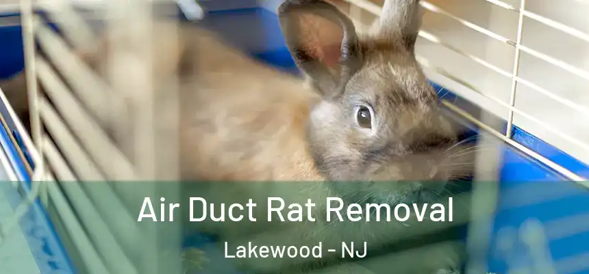  Air Duct Rat Removal Lakewood - NJ