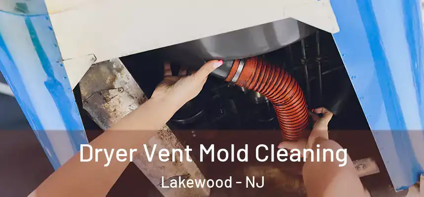  Dryer Vent Mold Cleaning Lakewood - NJ