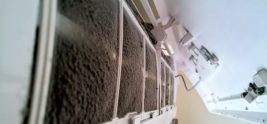 Preventive Air Duct Bacteria Removal in Lakewood