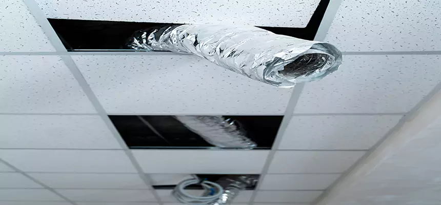 Our Air Duct Pet Hair Removal Services in Lakewood, NJ