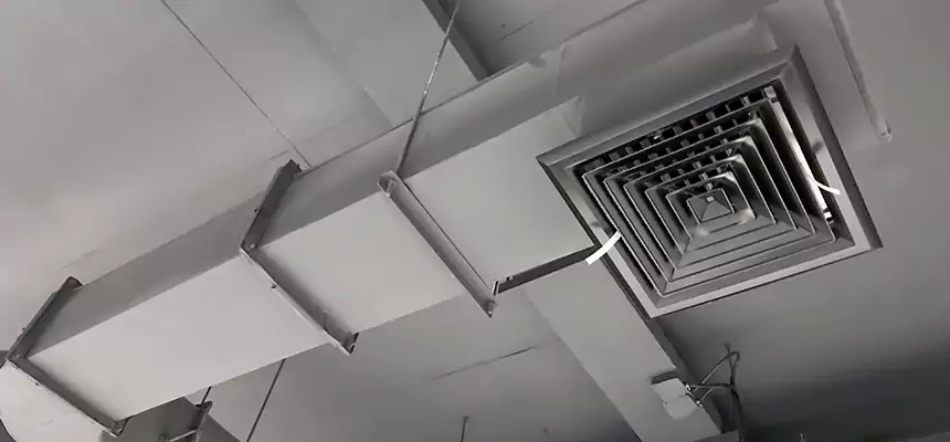 Our Pest Removal From Ducts Services in Lakewood, NJ