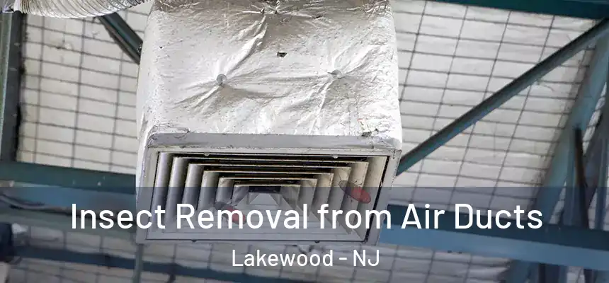 Insect Removal from Air Ducts Lakewood - NJ