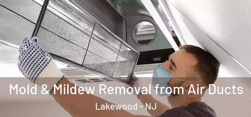Mold & Mildew Removal from Air Ducts Lakewood - NJ