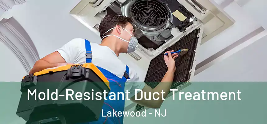  Mold-Resistant Duct Treatment Lakewood - NJ