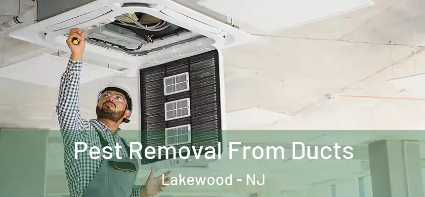  Pest Removal From Ducts Lakewood - NJ