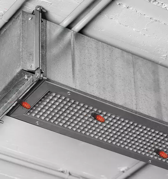 About Air Duct Cockroach Removal in Lakewood, NJ