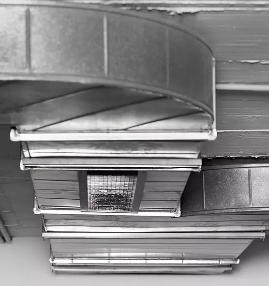 Professional Air Duct Pest Removal in Lakewood, NJ