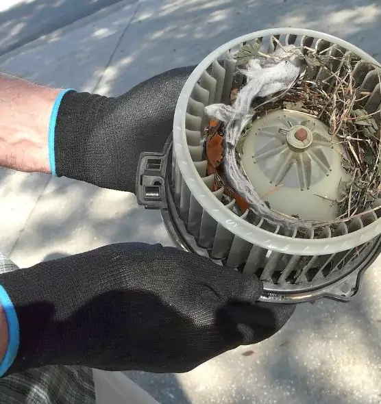 About Air Duct Rat Removal in Lakewood, NJ