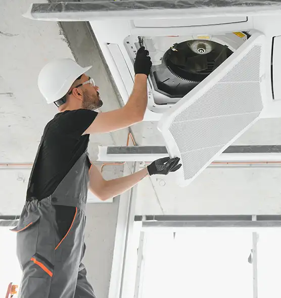 About Air Duct Rodent Removal in Lakewood, NJ