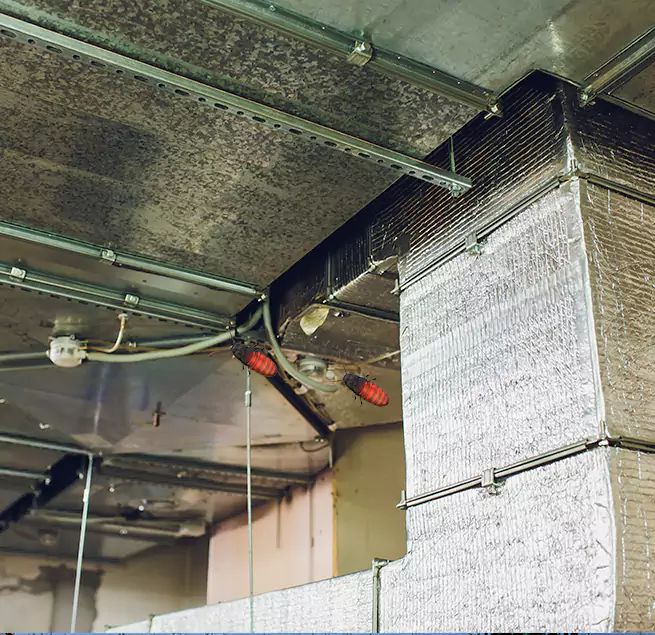 Why Homeowners & Businesses Trust Us in Lakewood, NJ?